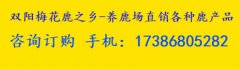 鹿鞭膏真的对男人有疗效吗【真实情况曝光】