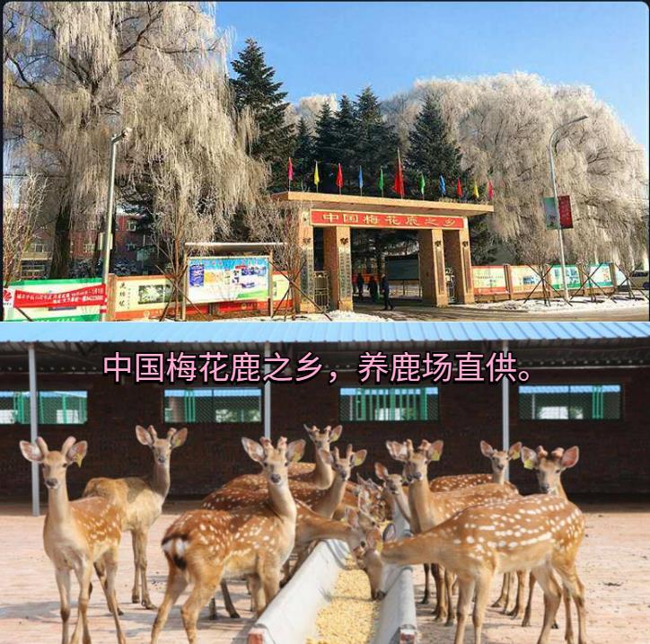 点击打开原图 鹿é丸å¾ç