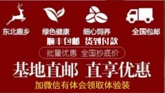 鹿鞭滋补又好喝？鹿鞭泡酒配方大全【男士比收藏】