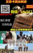 卡宾达树皮真的有用吗？食护康更懂滋补