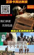 卡宾达树皮提取物10:1 安哥拉卡宾达树皮提取物卡宾达树皮粉