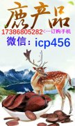 【安徽蚌埠】万龙生物虫草鹿鞭王胶囊厂家