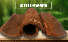 离婚率居高不下的原因是不喝卡宾达树皮泡酒